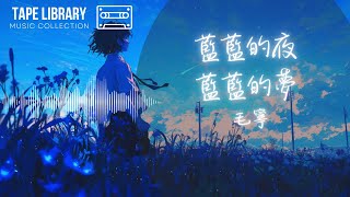 藍藍的夜，藍藍的夢 - 毛寧『藍藍的夜藍藍的夢請你從我的夢中走出來』【動態歌詞】