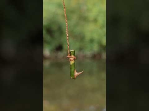 Making survival fishing line and hook with natural materials