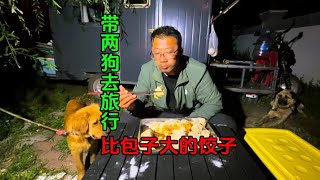 拉着一老一小旅行助力靠太阳能发电，到同江市吃比包子都大的饺子。