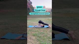 Halasana Yoga Pose 5 Minute Daily ! #Yoga #shorts #halasana #yogateacher