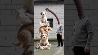 funny videos #windows #computerzone #typingskills #typing #typingspeed #computer #typingtips #nclcom