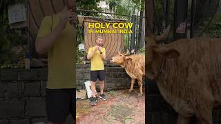 Holy Cow Drama: My Mumbai Moment