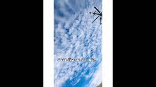 Sky Guardians 😎 #skywars #slowmotion #viralnow #helicopter #epicviews