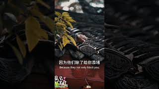 #人生感悟 #正能量 #情感 #感情 #分享 #语录