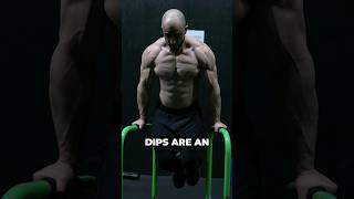 Dips Are The Upper Body Squat!