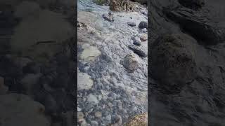 #waves #peacefulwaves #oceannoise #beach #oceansound #ocean #oceansounds #nature #soothing #travel