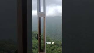 Find peace in Nature🌄 #protectforests #gogreen #Earth #protectwildlife #trending #viral short#2025