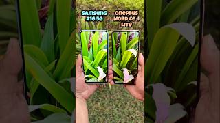 Samsung A16 vs Oneplus Nord Ce 4 Lite Camera Test #samsunga16 #oneplusnordce4lite #trending #shotrs
