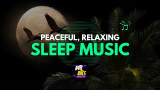 Relax, Sleep, and Focus: 3+ Hours Tranquil Music Playlist for Meditation and Study