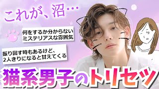 女が沼る「ネコ系男子」の魅力をみんなで引くほど語りたいんだよ