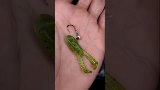 The Creek Croaker 1.7" #finessefishing #ultralightfishing #bfsfishing #creekfishing #panfish