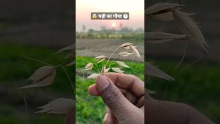 Amazing Science Experiments 🤯 !! #experiments