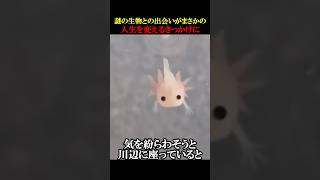 謎の生物との出会いがまさかの人生を変えるきっかけに #動物 #感動