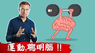 做什麼運動會更聰明? 運動與大腦, 柏格醫生 dr berg