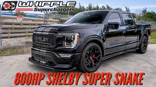 800HP SHELBY F150 SUPER SNAKE | 0-60 IN 3.3 Seconds! | Race Ported Whipple Supercharger & FLEX FUEL!