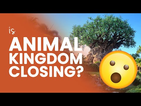 Is Disney’s Animal Kingdom Closing in 2024? Addressing the Rumors
