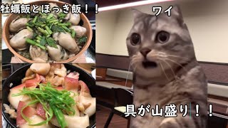亘理町の海鮮料理屋でほっき飯を食べたときの話 #猫ミーム #猫マニ