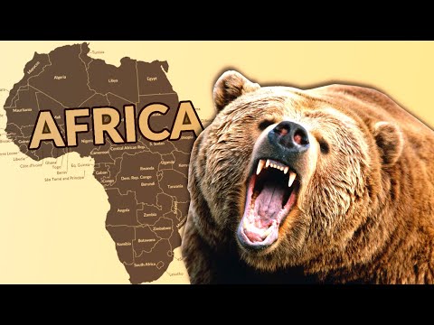 Why Are There NO BEARS In AFRICA?