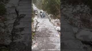 贵州旅游，丝滑下山 #贵州旅游 #旅游 #旅游攻略