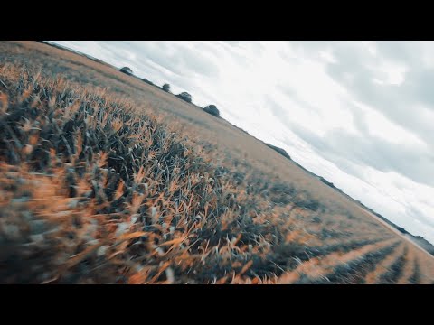 Dichotomy / dʌɪˈkɒtəmi ~ FPV Freestyle & Cine 🔊 Headphones