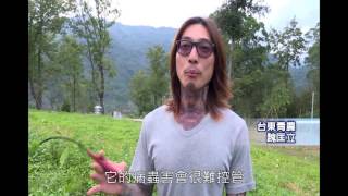 【吉時從農 青春逐夢】青年農民-魏匡立