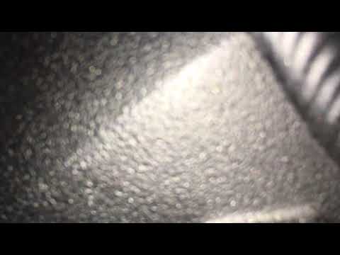Vtec Engine noise