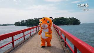 台灣虎航網紅虎將日本東北溜搭去(IV)：宮城縣