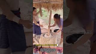 Manual rice pounding || Traditional method