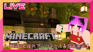 【Java版】1.18洞窟と崖のアップデートを探索する！Part3