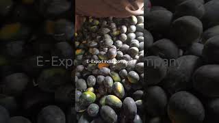 Fresh Watermelon #watermelon #fruit #export #import #wholesale #supplier #highlightsforyou #foryou