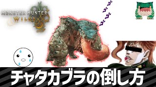 ハイテンポMHWs：チャタカブラの倒し方｜モンハンワイルズ