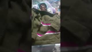Oxygen Room in 1 Day Baby 😭🤲Allah Sabki Achchi Baby De is Dunya Me #shortvideo #ttsworld
