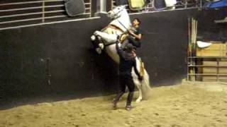 Medieval Times ''Chicago'' Cimbrado ''G'' and Javier Ortiz and  Mario A. Contreras