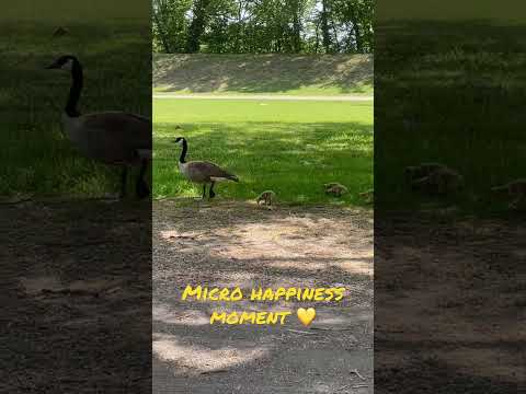 Enjoy 😊 #happy #cuteanimals #spring #thelittethings ￼