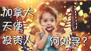 加拿大天使投资人何处寻？加拿大移民创业好资源
