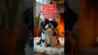 🐶【初心者向け】 共働き家庭で#わんこ を飼う時に気をつけたい５つのこと！ #犬のいる生活 #犬