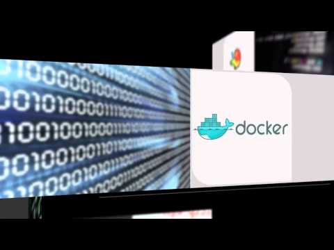 The full stack developer program