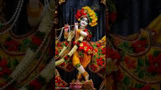 Jai shree krishna ji 💙 #krishnalove #devotionalvibes