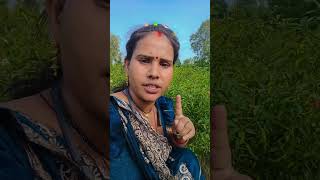 bekh lo varna pachtaoge#1kcreator #fouryourpag #farmingmethod