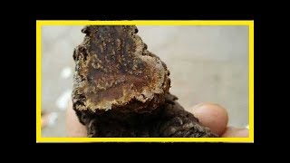高血壓最怕的鹼性食物，堅持天天吃，血壓悄悄降身體好