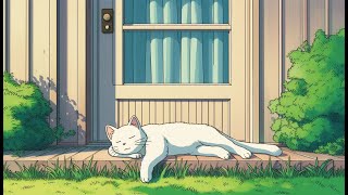 TAKE IN THE SUNSET | 80's Tokyo Lofi 🎧  | Relax & Chill & Study  📖