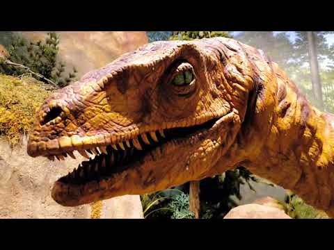 The Creation Museum - May 2, 2018