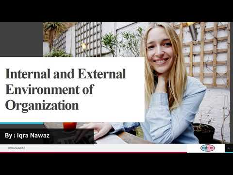 what is internal and external environment of organization | Urdu\Hindi | By: Iqra Nawaz #hrm