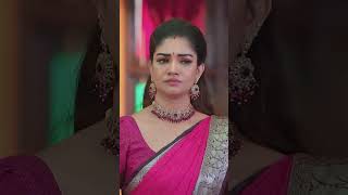 Karthigai Deepam | Ep - 864 | Reel | Jun 19 2025 | Zee Tamil