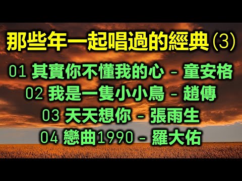 那些年一起唱過的經典 (3)（内附歌詞）01 其實你不懂我的心 - 童安格  02 我是一隻小小鳥 - 趙傳  03 天天想你 - 張雨生  04 戀曲1990 - 羅大佑