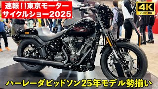 速報‼️東京モーターサイクルショー2025‼️ハーレーダビッドソン2025年モデルが勢揃い‼️#harleydavidson #harleydavidsonjapan