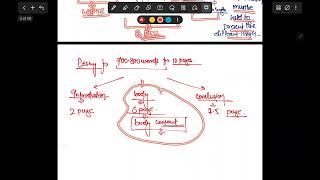 BPSC_Essay