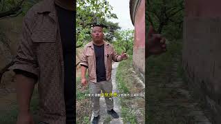#历史 #导游来了 #清东陵 #慈禧 这就是古代皇帝的宝鼎