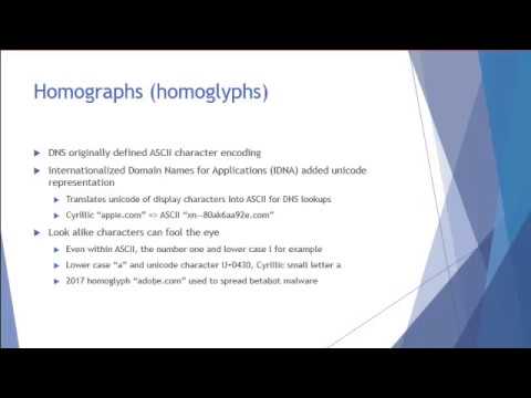 Domain Name Abuse Attacks