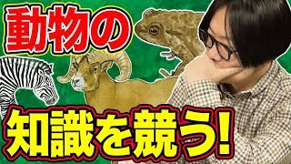 毒吐きコブラの尻尾は何センチ？動物知識で戦うボードゲーム「ファウナ」で遊んだ！